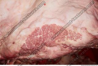 Photo Textures of RAW Pork Meat